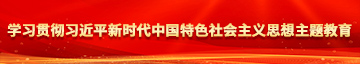 操逼操逼啦操逼啦学习贯彻习近平新时代中国特色社会主义思想主题教育